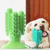 Kutya rágó fogkefe kaktusz kutyáknak
